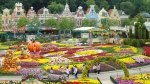 Tour Hàn Quốc: Seoul - Đảo Nami - Công viên Everland ( Bay đêm )