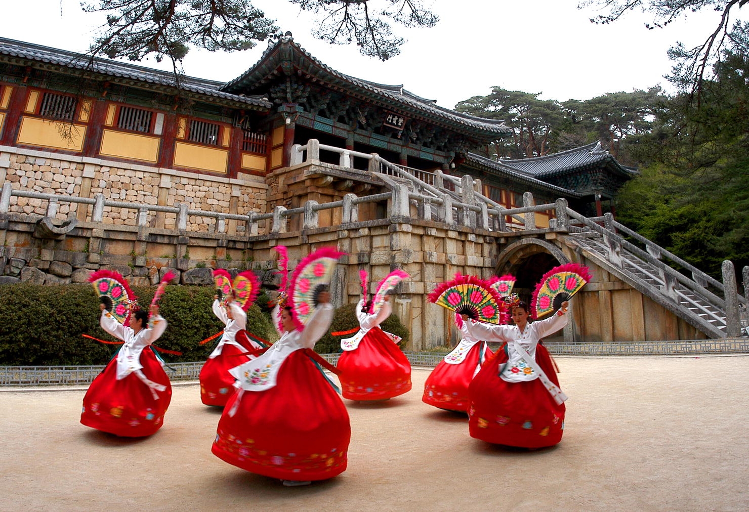 Tour Hàn Quốc: Seoul - Đảo Nami - Công viên Everland Bay đêm