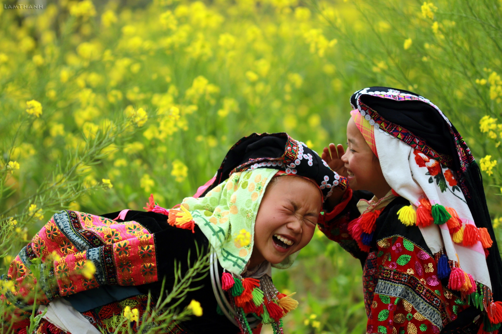 HÀ NỘI - HÀ GIANG - ĐỒNG VĂN - LŨNG CÚ {3N2Đ,Ô TÔ}